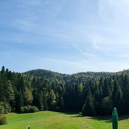 Planinski Dom Na Travni Gori Sodrazica Exteriör bild