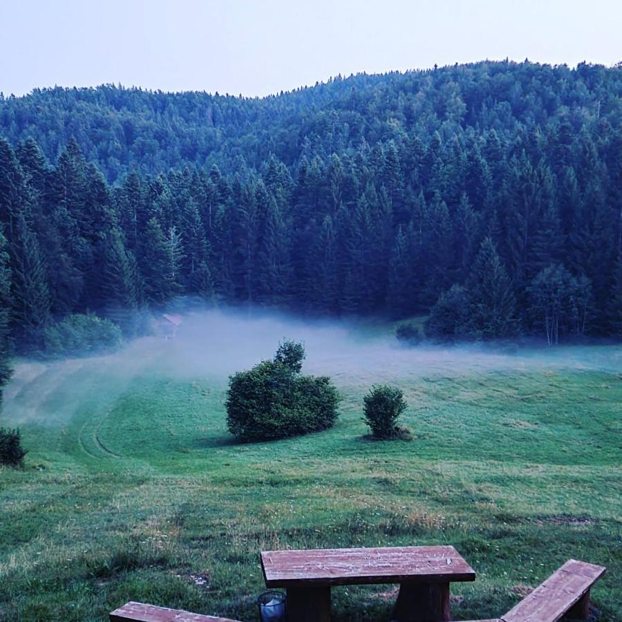 Planinski Dom Na Travni Gori Sodrazica Exteriör bild