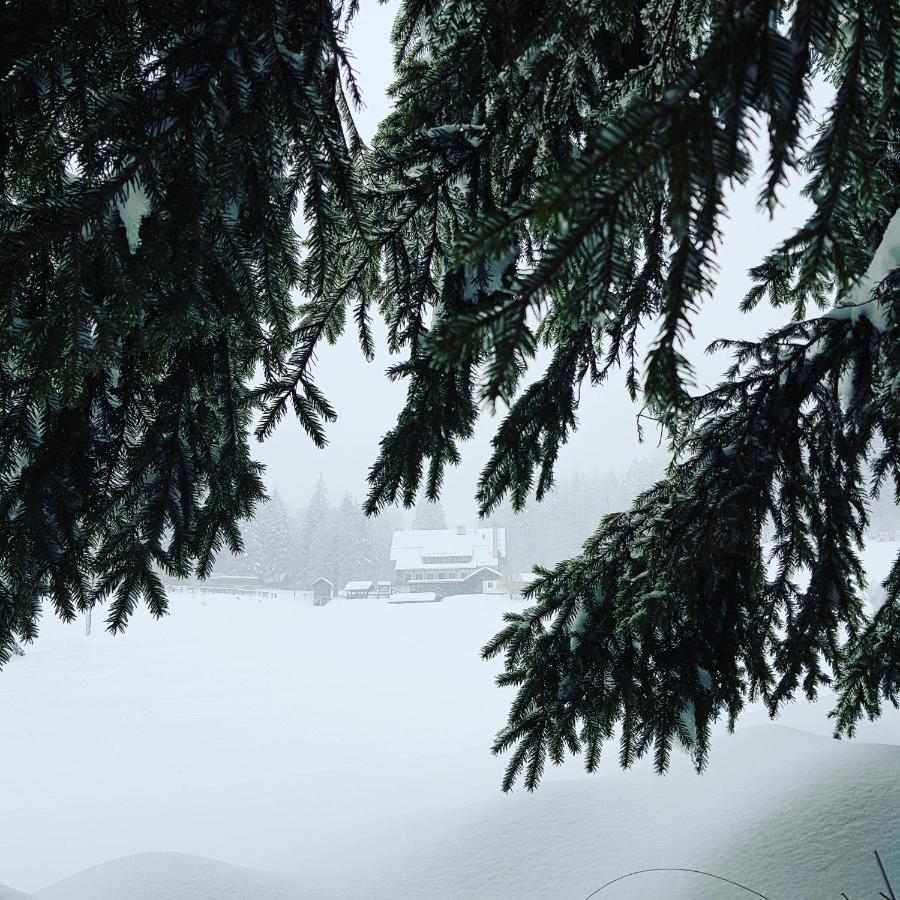 Planinski Dom Na Travni Gori Sodrazica Exteriör bild