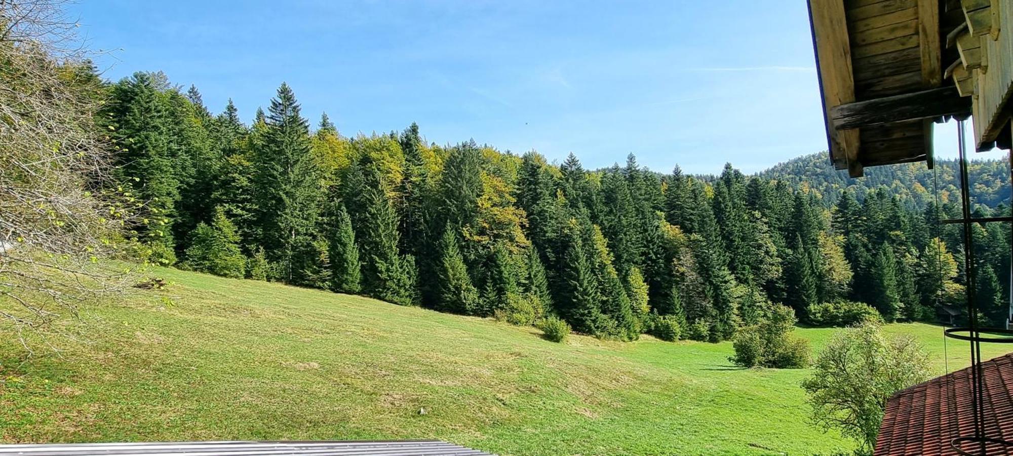 Planinski Dom Na Travni Gori Sodrazica Exteriör bild