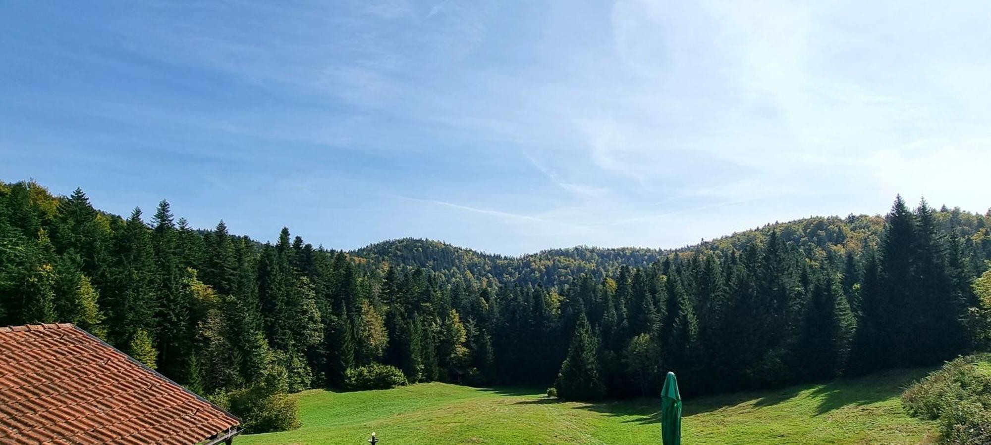 Planinski Dom Na Travni Gori Sodrazica Exteriör bild